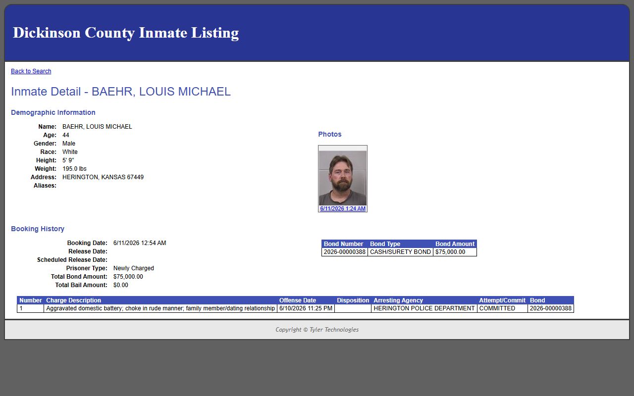 Dickinson County jail mugshots inmate detail sample